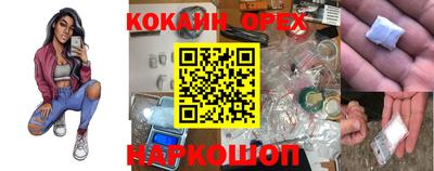 сатива Сланцы