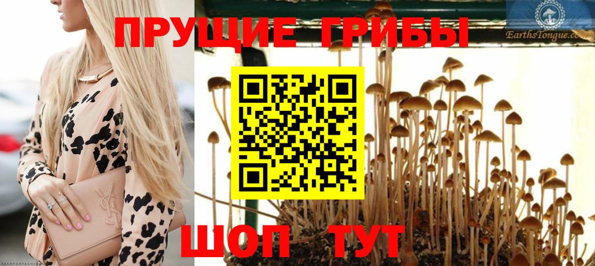 Псилоцибиновые грибы прущие грибы Нефтеюганск